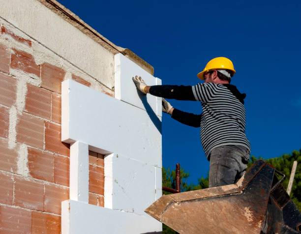 Best Energy Efficiency Insulation in Escobares, TX
