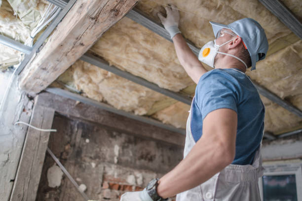 Best Spray Foam Insulation in Escobares, TX