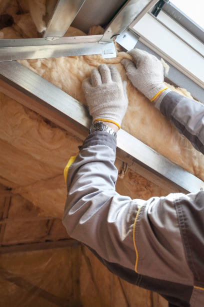 Types of Insulation We Offer in Escobares, TX