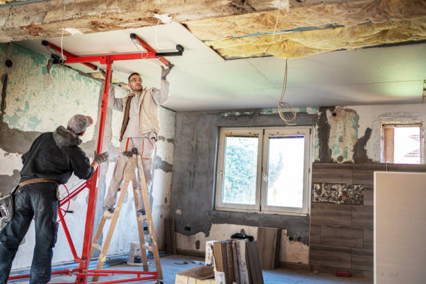 Best Residential Insulation in Escobares, TX