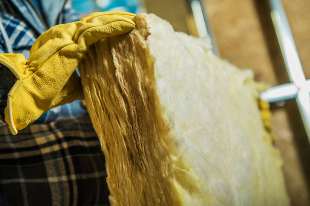 Best Geographic-Specific Insulation Services in Escobares, TX