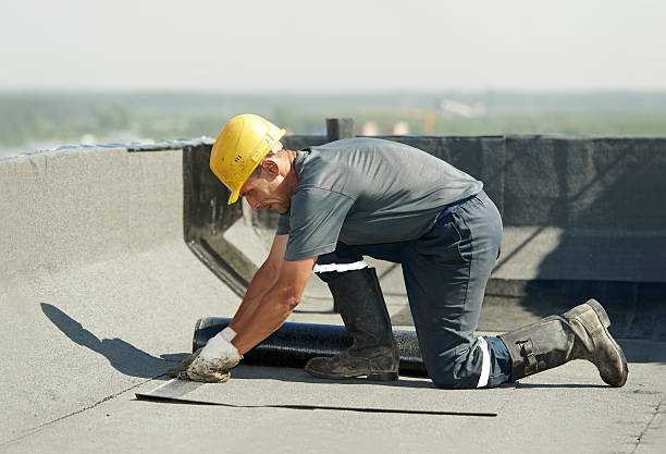 Best Specialized Insulation Services in Escobares, TX