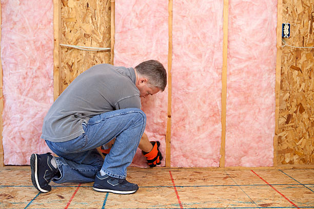 Best Blown-in Insulation in Escobares, TX