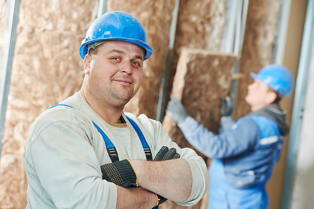 Best DIY Insulation Kits and Guidance in Escobares, TX