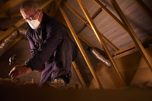 Professional Insulation Contractor in Escobares, TX