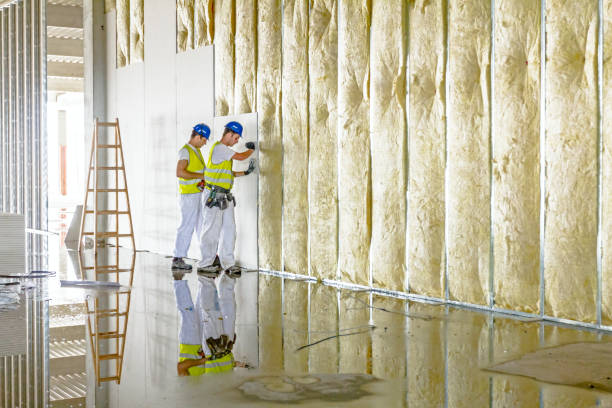 Best Eco-Friendly Insulation in Escobares, TX